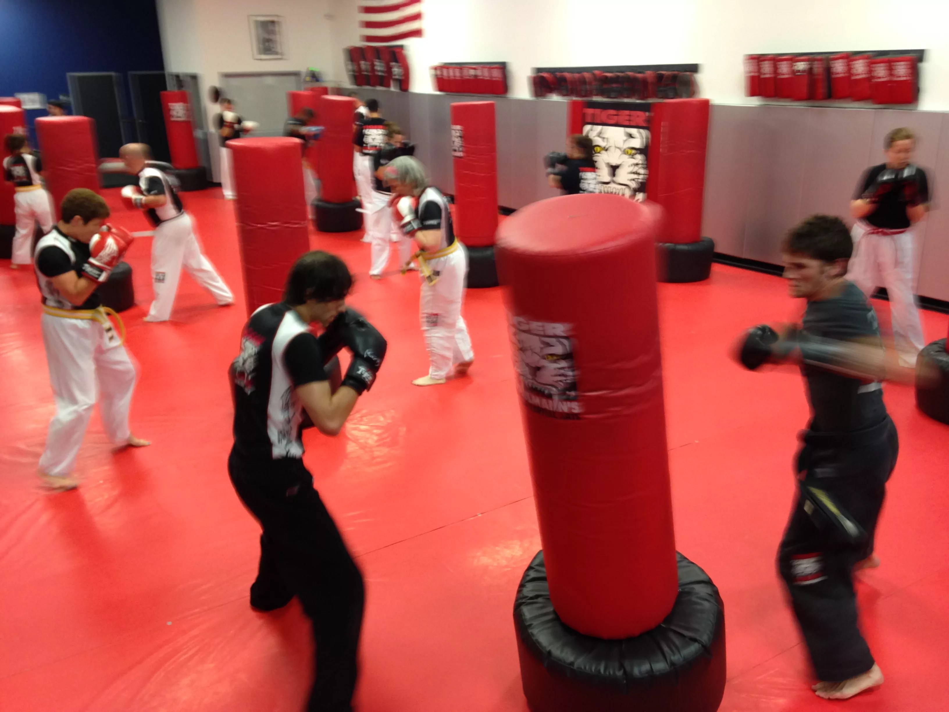 Martial Arts Classes Teach Self Defense and Fitness