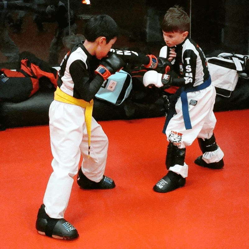 Kids Karate Tiger Schulmann's Martial Arts Bayside, NY