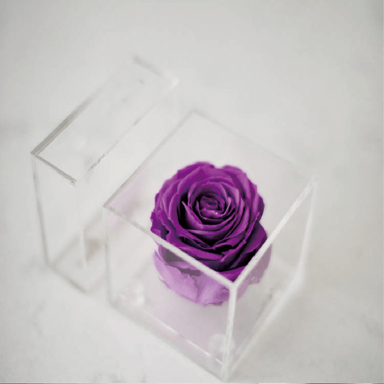 Waterproof Acrylic Rose Box Acrylic Rose Flower Box Preserved Rose