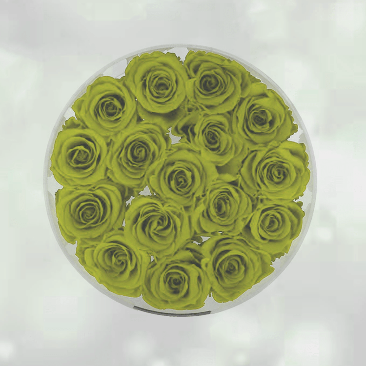 Forever Flower Box Acrylic Round Flower Box Rounded Acrylic Rose Box