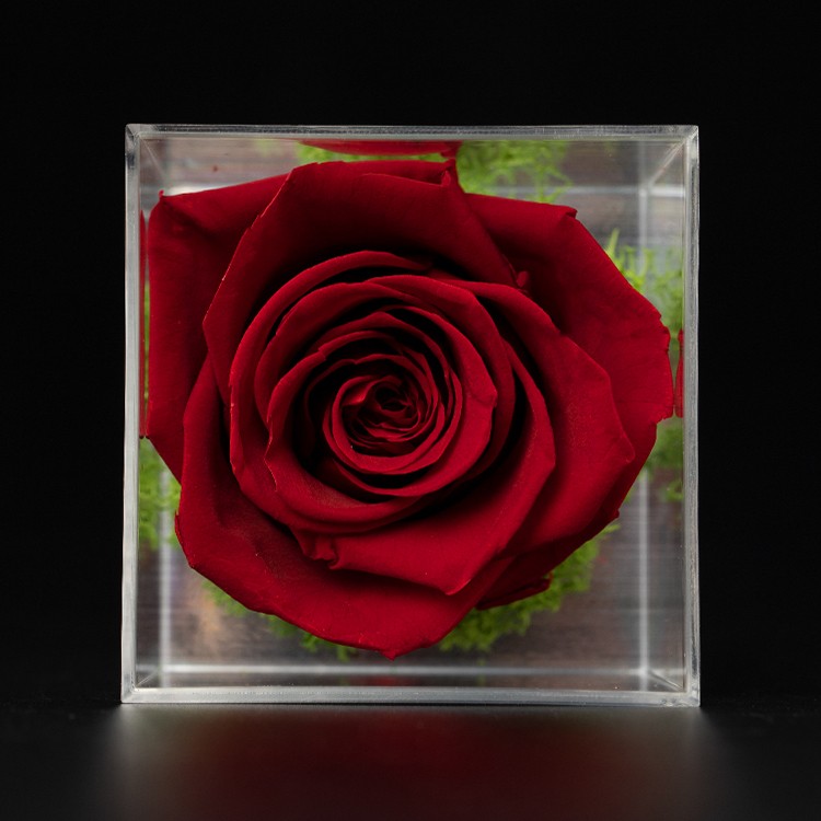 Preserved Roses Acrylic Rose Box Flowers In Acrylic Box