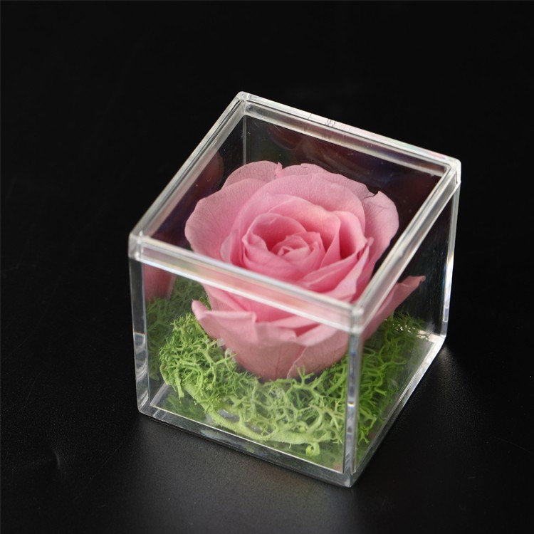 Preserved Roses Acrylic Rose Box Flowers In Acrylic Box