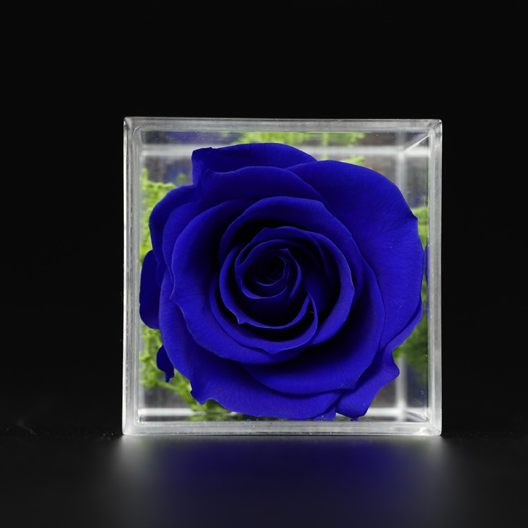 Preserved Roses Acrylic Rose Box Flowers In Acrylic Box