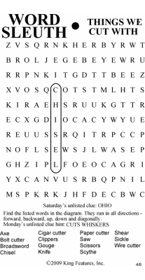 Word Sleuth – Torstar Syndication Services