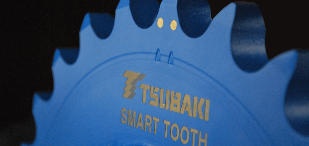 Technical Solutions Team Tsubaki Canada