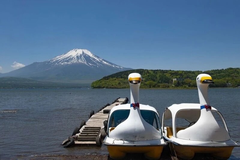 自然に囲まれた富士山が見えるスポット 山中湖でワカサギ釣りなら初めてでも気軽に楽しめるつちやボート
