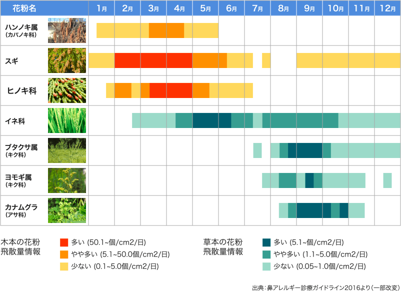 花粉 症 時期
