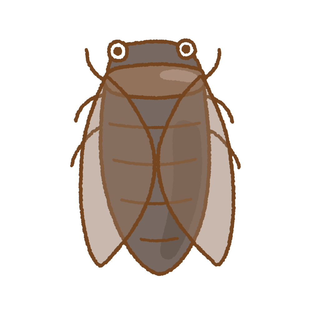 セミ イラスト素材 [ 1354684 ] - フォトライブラリー Photolibrary セミのイラスト | 商用Okの無料イラスト素材サイト ツカッテ