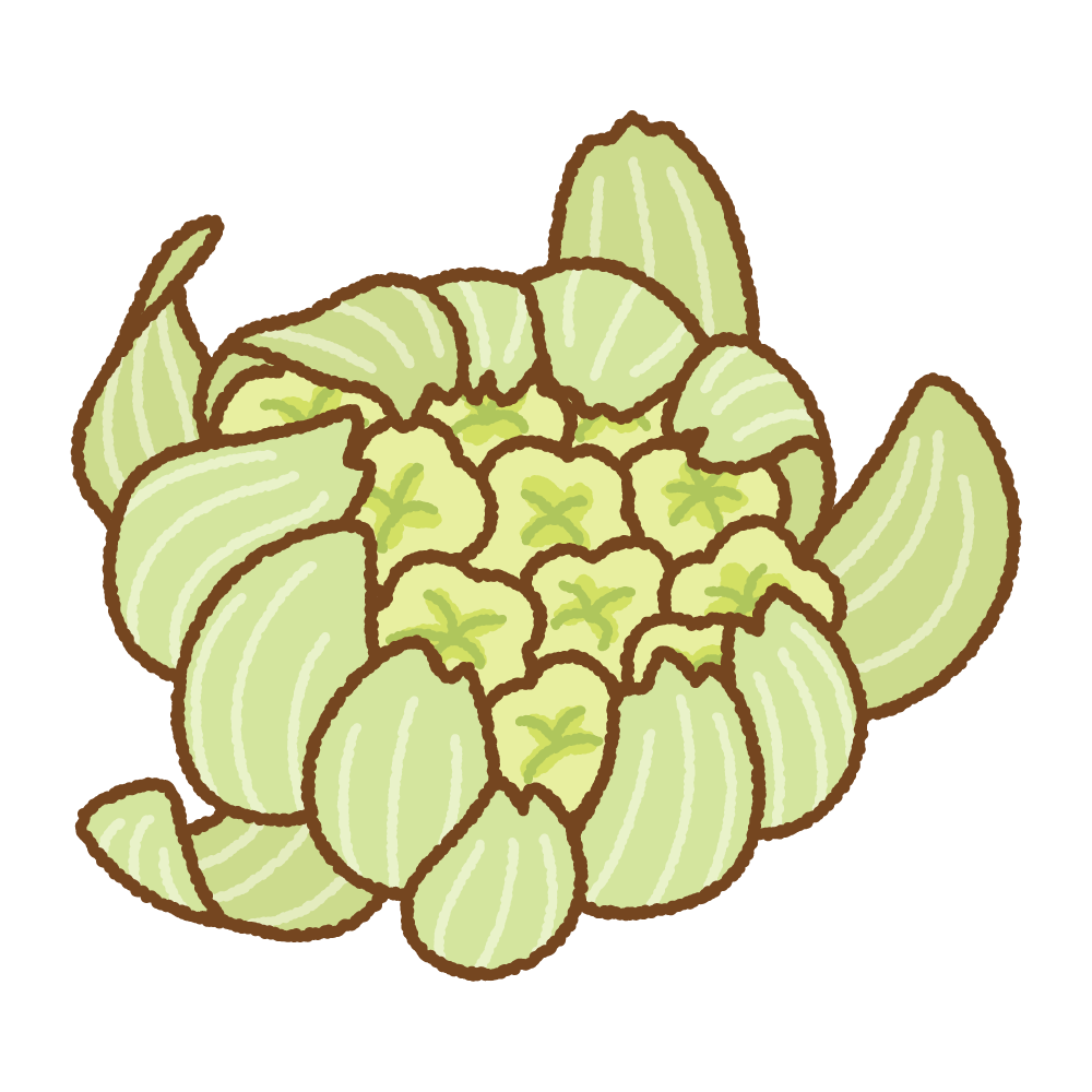 雪の上から芽を出すふきのとう[10208000565]の写真素材・イラスト素材｜アマナイメージズ フキノトウのイラスト | 商用Okの無料イラスト素材サイト ツカッテ