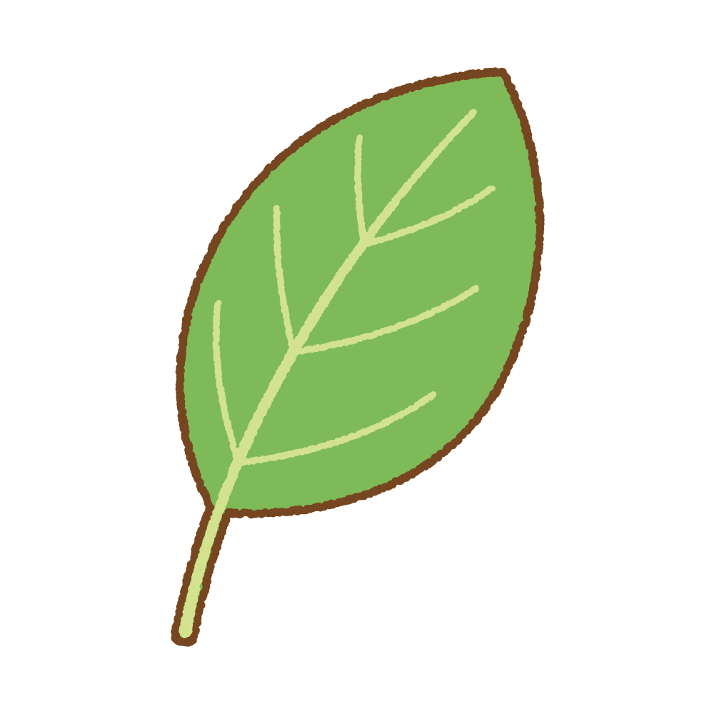 葉っぱのシンプルイラスト ＜無料＞ | かわいいフリー素材 イラストK 葉っぱのイラスト | 商用Okの無料イラスト素材サイト ツカッテ