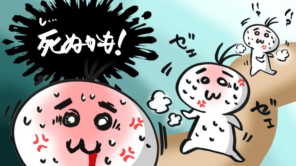 社会福祉法人辺春福志会 辺春保育園 - Home | Facebook 浜松【秋葉山本宮秋葉神社】行ってみた！ぶらり寺社巡り その2 | 毎日つらたん。