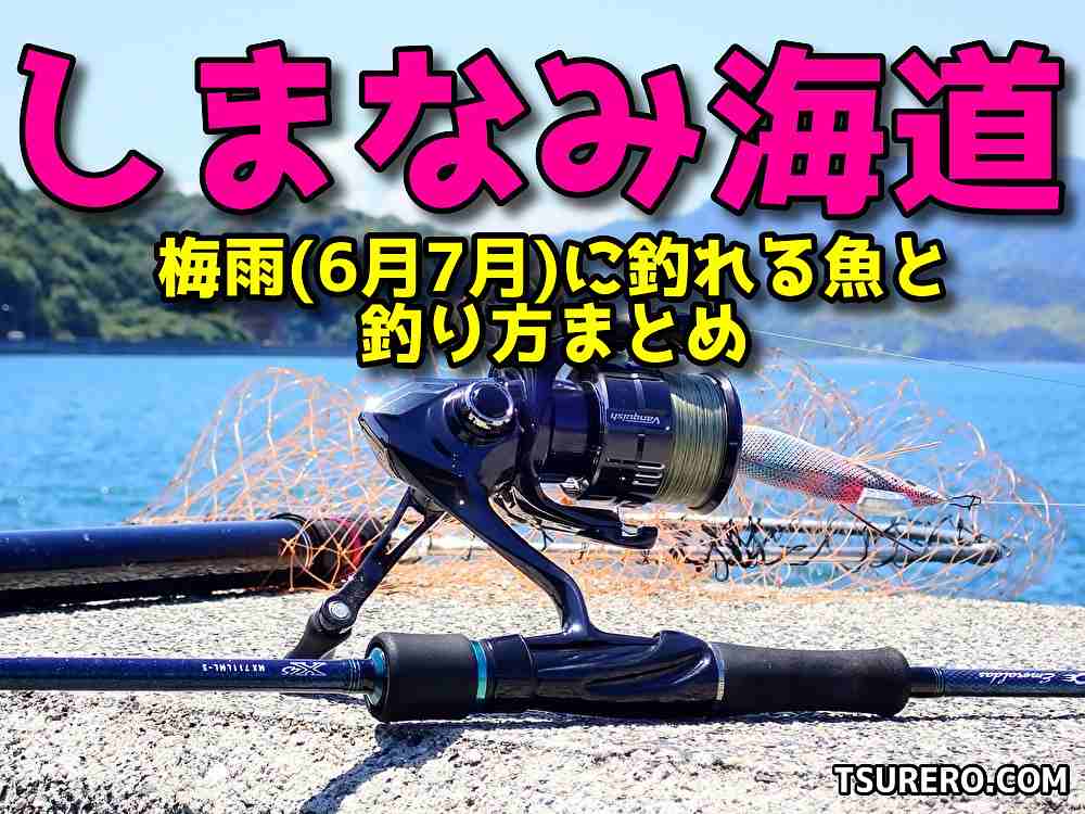 しまなみ海道で梅雨(6月7月)に釣れる魚と釣り方まとめ！ TSURERO