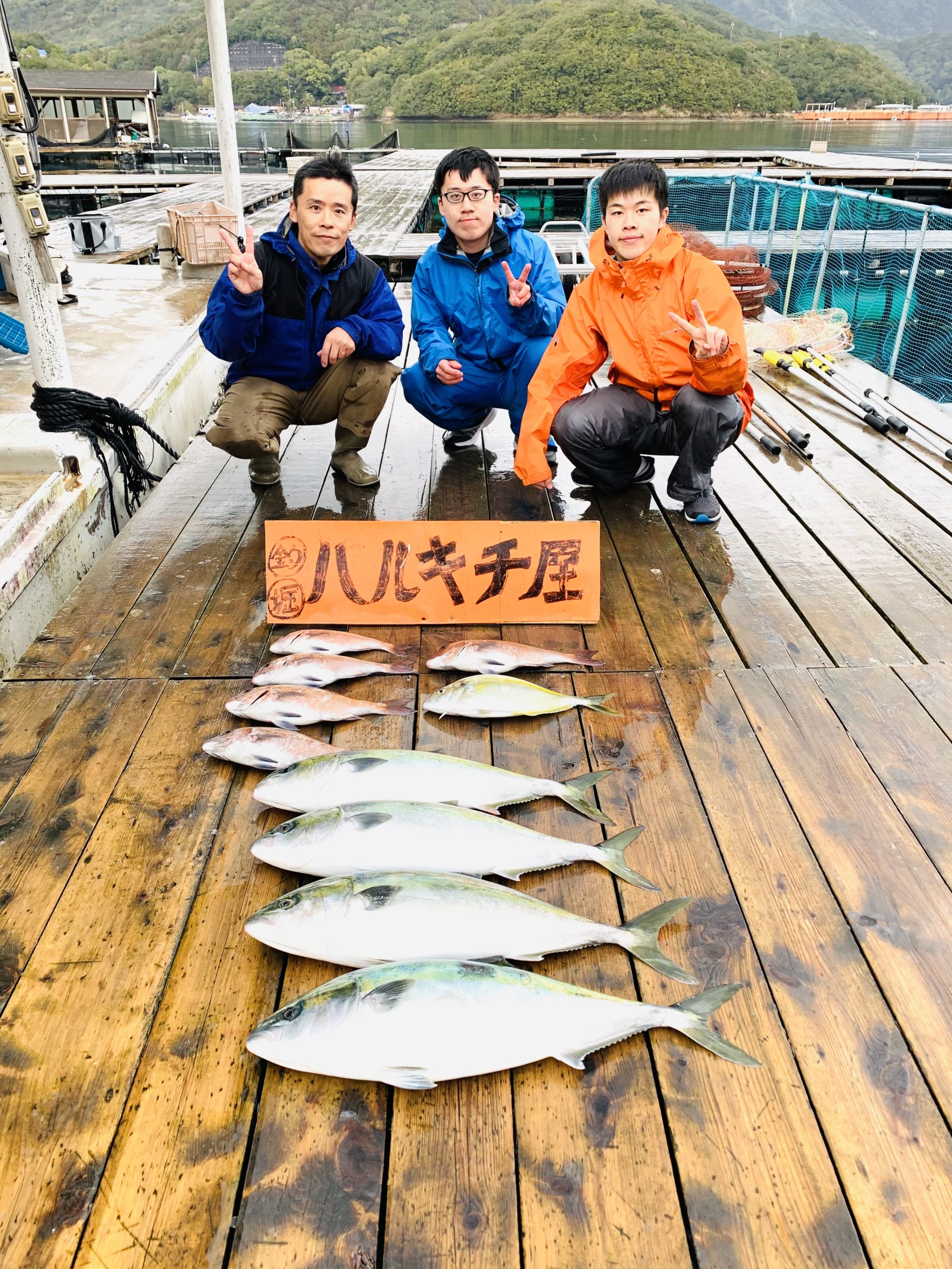 3月4日の釣果 ハルキチ屋 歩いて行ける海上釣堀 三重県南伊勢町迫間浦