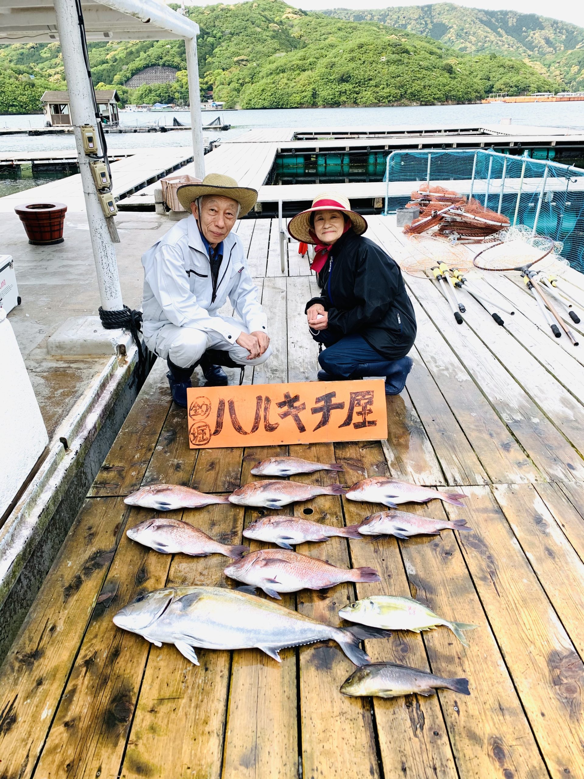 4月22日の釣果 ハルキチ屋 歩いて行ける海上釣堀 三重県南伊勢町迫間浦