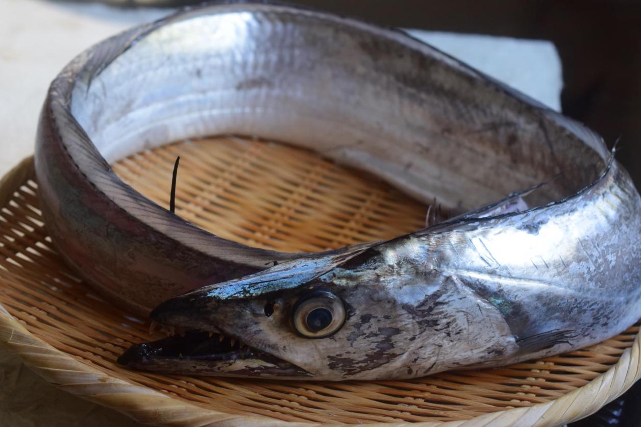 方 切り 太刀魚 刺身