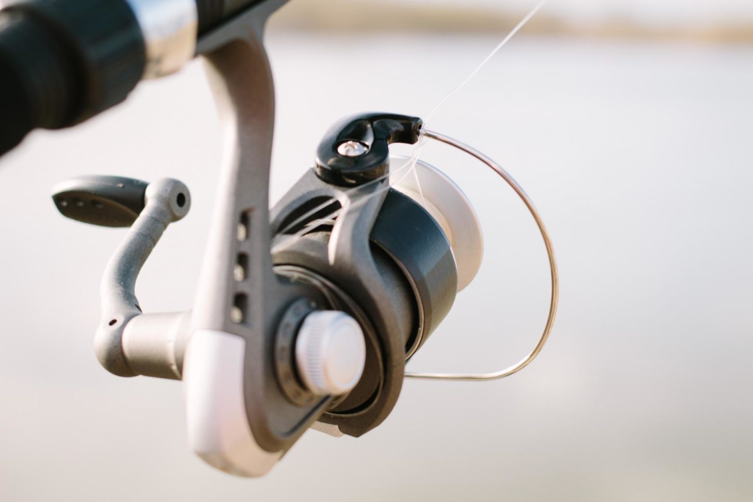 12 釣り ヘッド ライト おすすめ 2021 2021 Capeco Africa