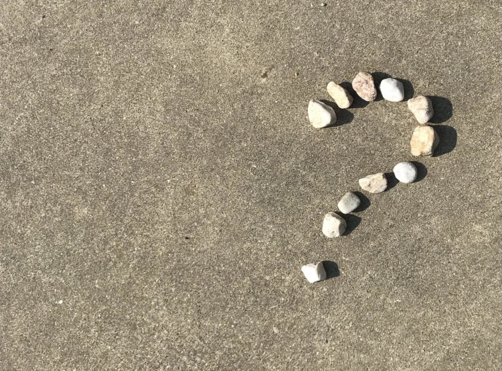 石ゴカイの付け方・保存方法をご紹介｜釣れる魚・値段・採取方法 釣りラボマガジン