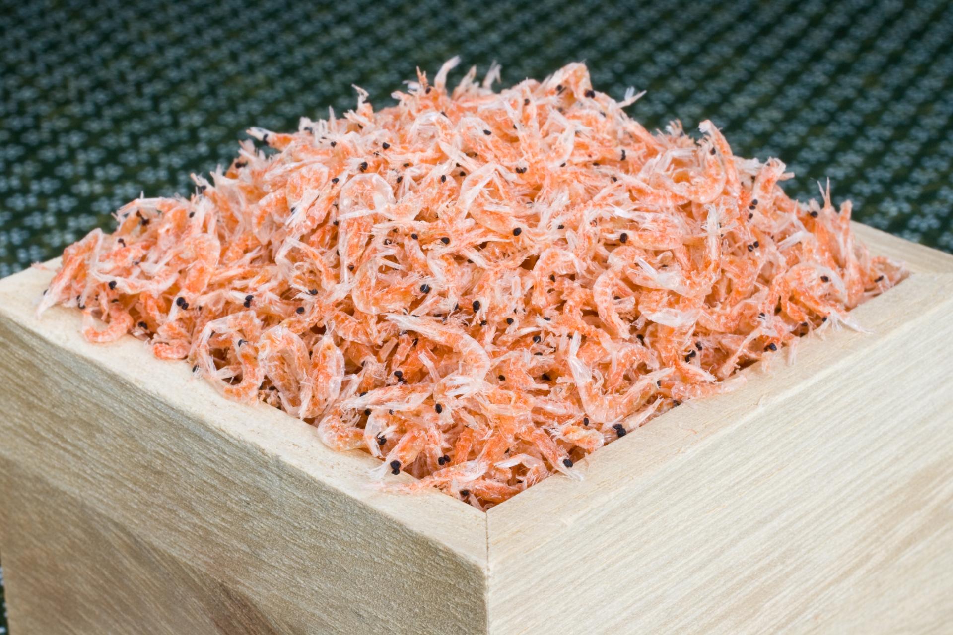 【釣り餌の王道】オキアミとは？餌の付け方・値段相場・使い方をご紹介 釣りラボマガジン