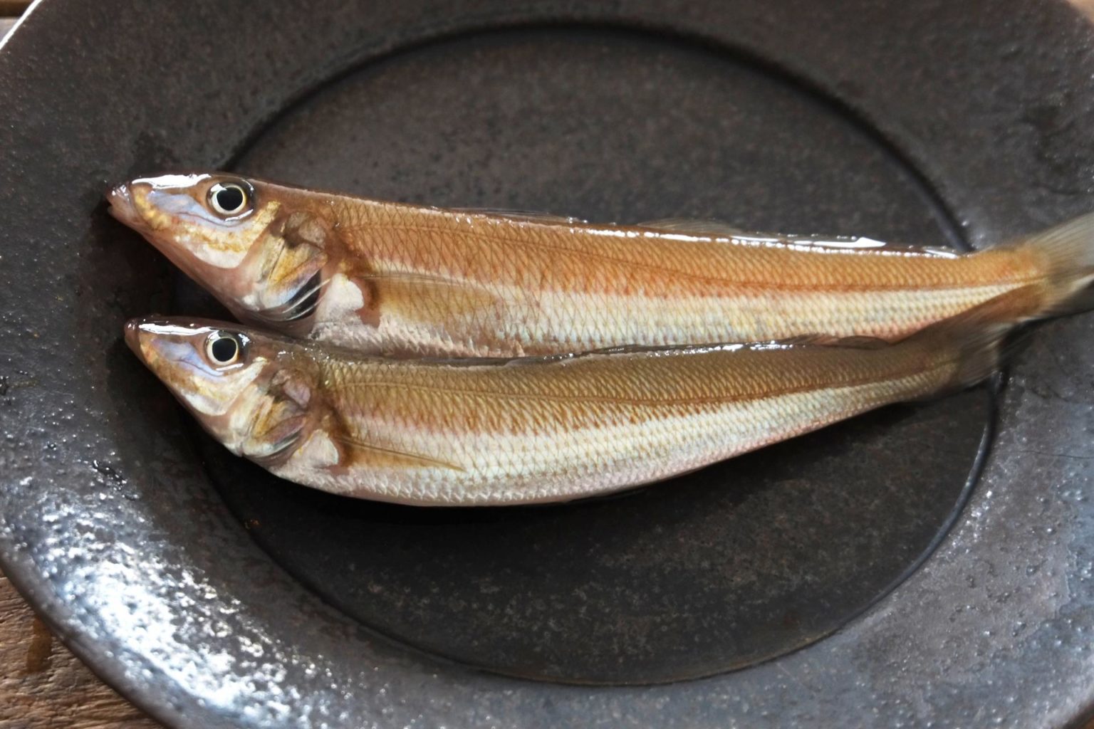キス釣りに最適なパワーイソメの色や仕掛け方を解説します！ 釣りラボマガジン