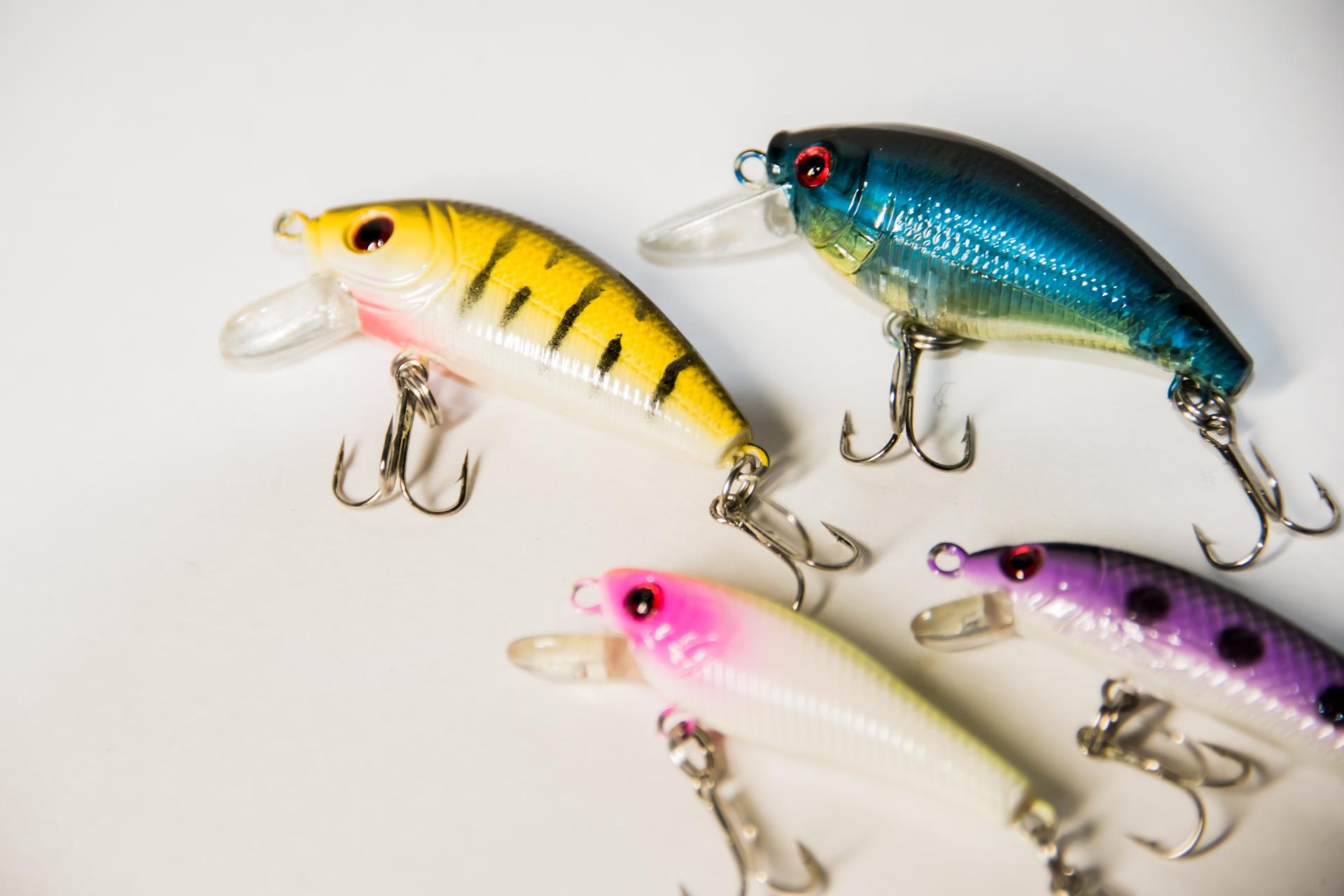 夜ルアー釣りではどんな魚が釣れる？夜釣りのコツやおすすめのルアーを紹介 釣りラボマガジン