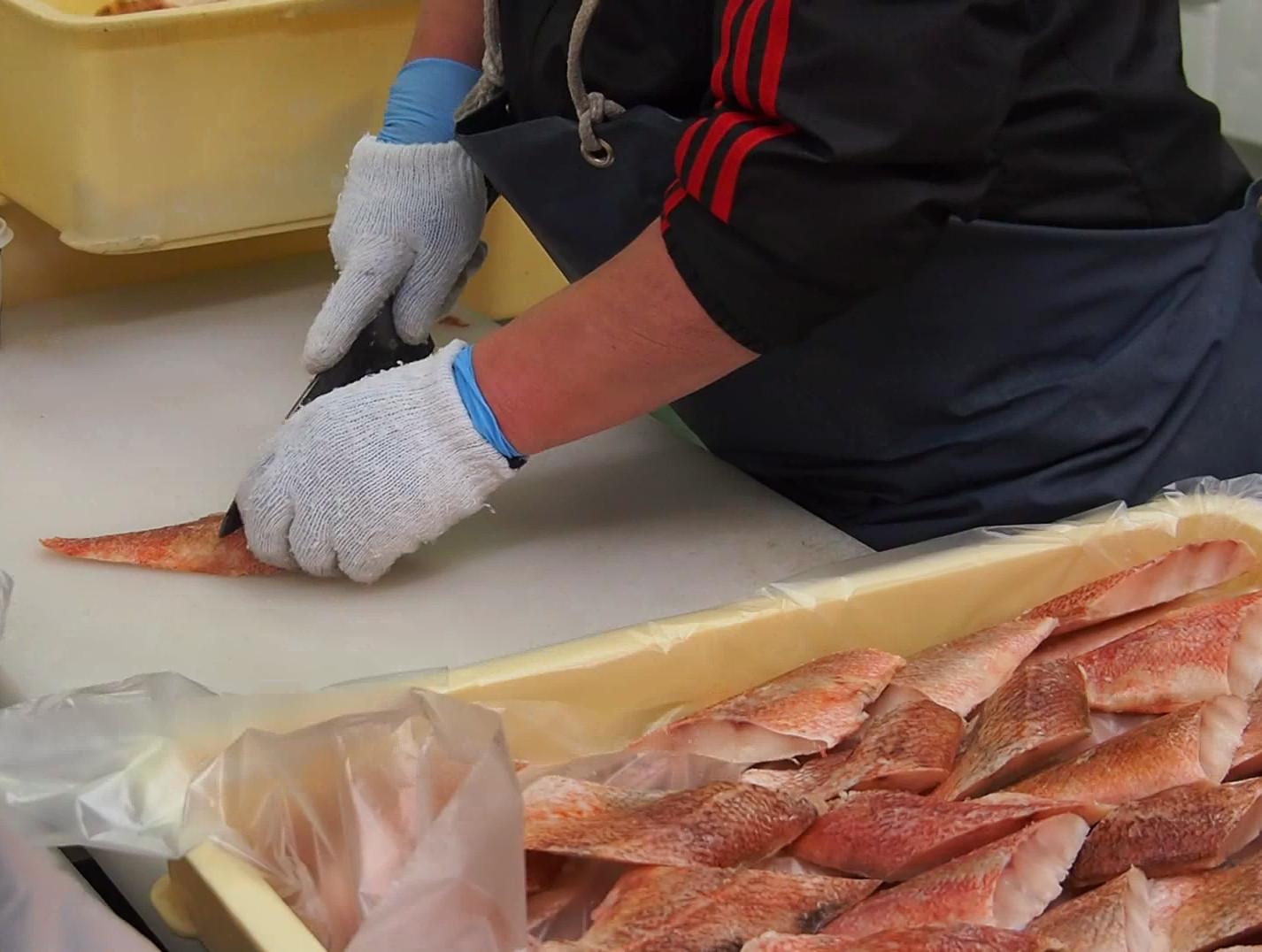 魚を捌く包丁はどんな種類がいい？おすすめの包丁5選と選び方 釣りラボマガジン