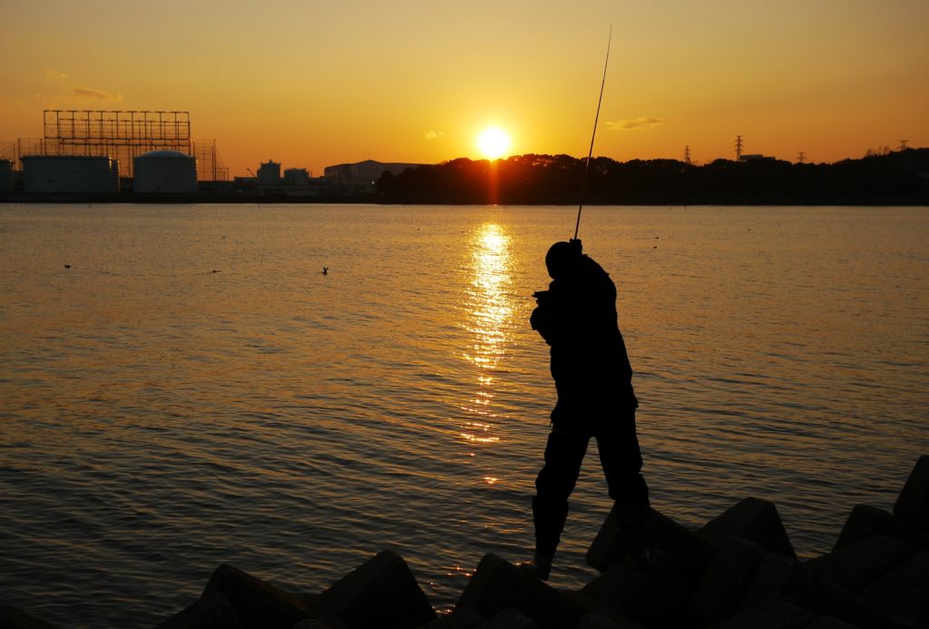 10月の堤防釣りで釣れる魚は？難易度別に釣り方も詳しく解説！ 釣りラボマガジン