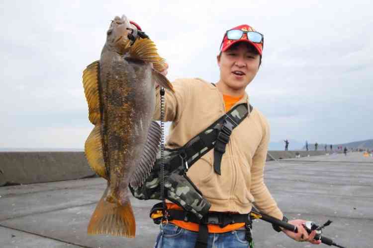 北海道でバス釣りは物足りない？バス好きならクロソイに100ハマる。道具も攻め方も同じ
