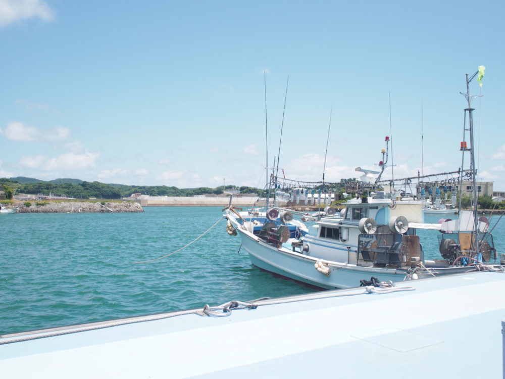 壱岐の釣り船と選び方を詳しく解説！島での釣りはここにおまかせ