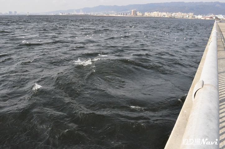甲子園浜海浜公園 東護岸 釣り場Navi