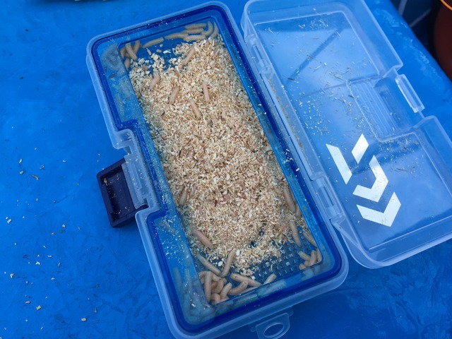 ユニーク 餌 入れ 釣り