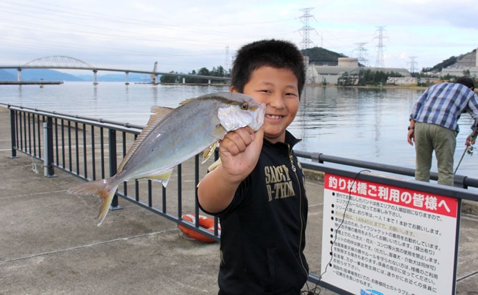 大物狙いも！港内を丸ごと仕切った釣り公園【福井県美浜町シーパーク丹生】 TSURINEWS