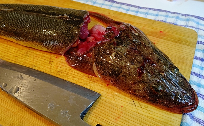 鏡野が 壮大 コチ 魚 レシピ