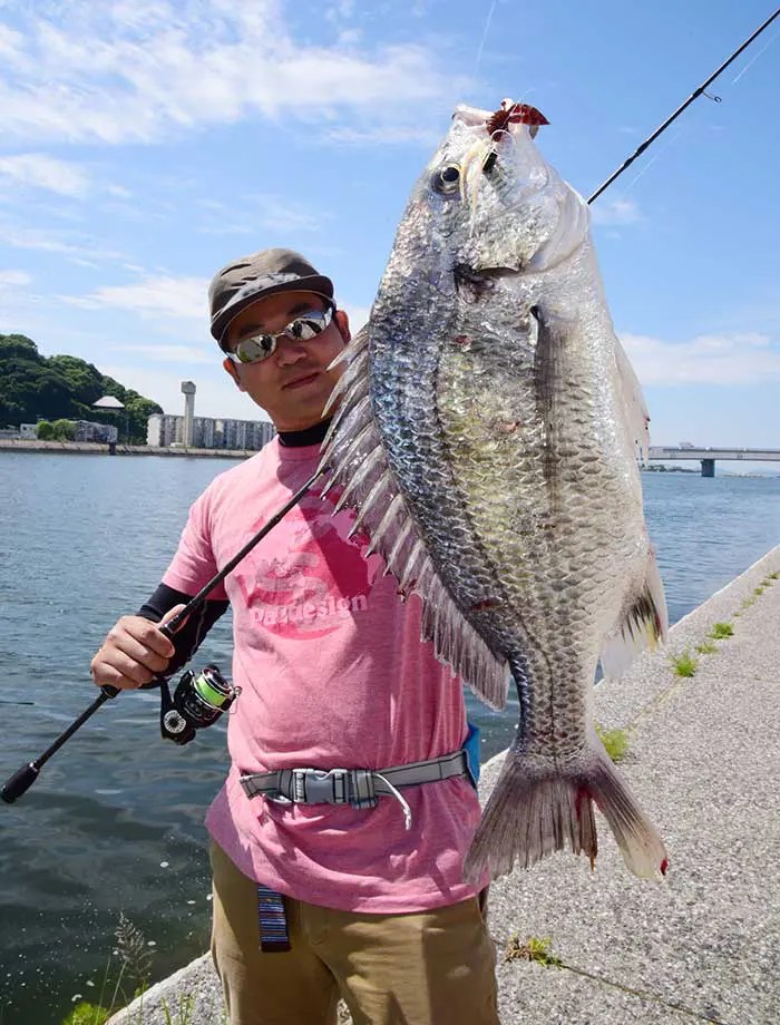 [最も選択された] 広島 釣り場 大野 320306