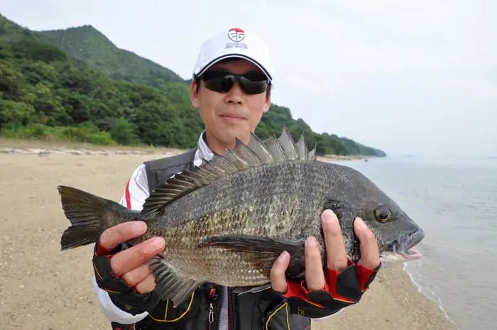 女性でも楽しめるチヌ渚釣り／広島 立石東浜（香川県丸亀市・岡山県下津井出船） 釣りぽ