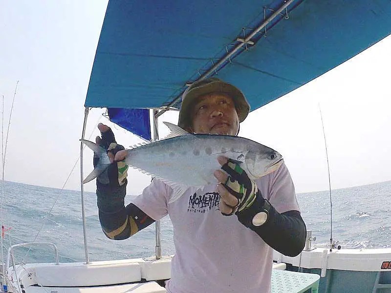 クイーンフィッシュ 169681クイーンフィッシュ 釣り