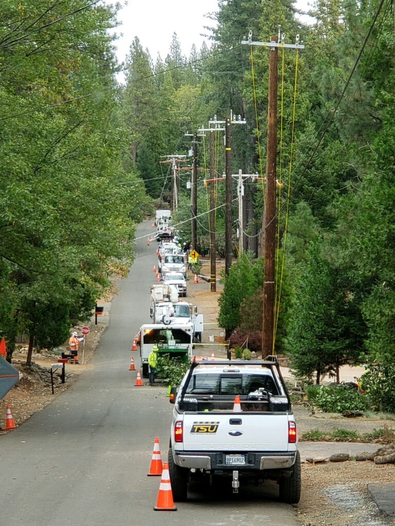 Home TSU/Tree Service Unlimited, Inc.