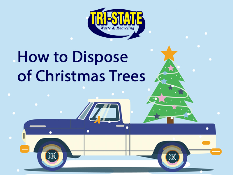 How to Dipose of Christmas Trees Dumpster Rental in Philadelphia