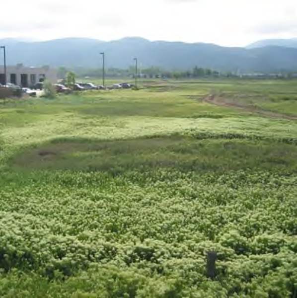Taos SWCD Taos Soil & Water Conservation District