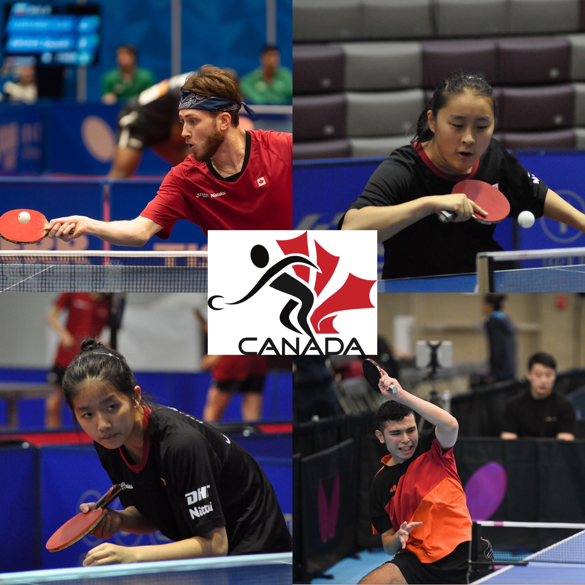 TTCAN annonce la ligue nationale de tennis de table