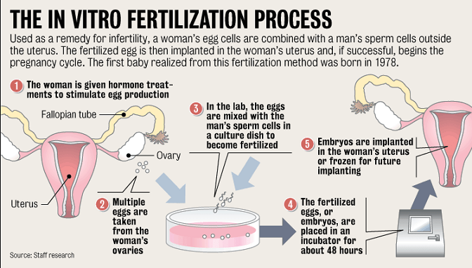 Fertility Drugs & Treatments ConceiveEasy TTC Kit