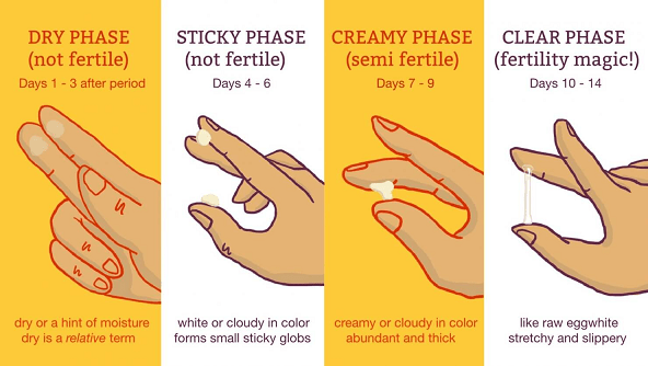 Trying to Conceive? Try These Top Tips to Boost Your Fertility