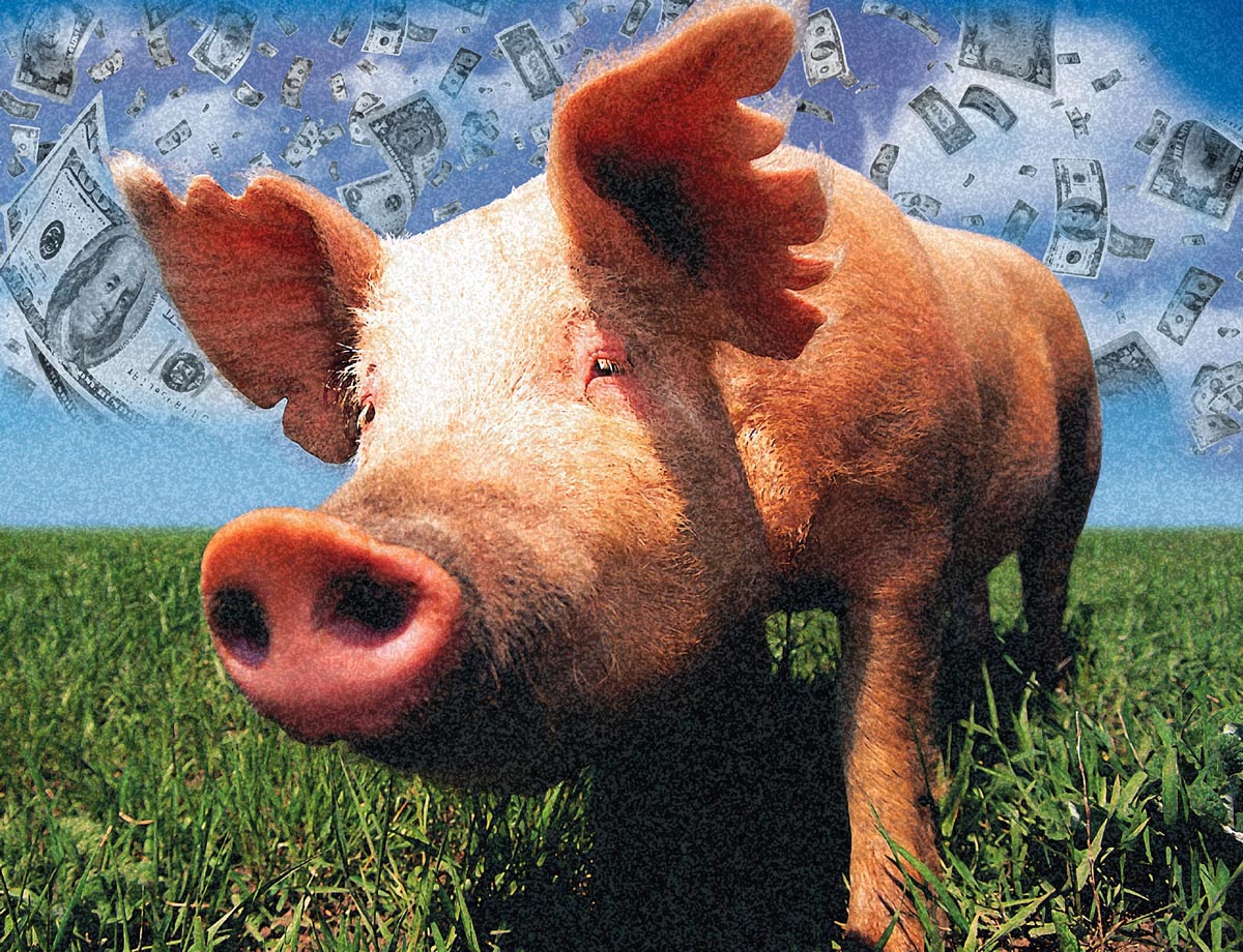 2040 (Issue 4) Agriculture Is there Pork here? Responsibility