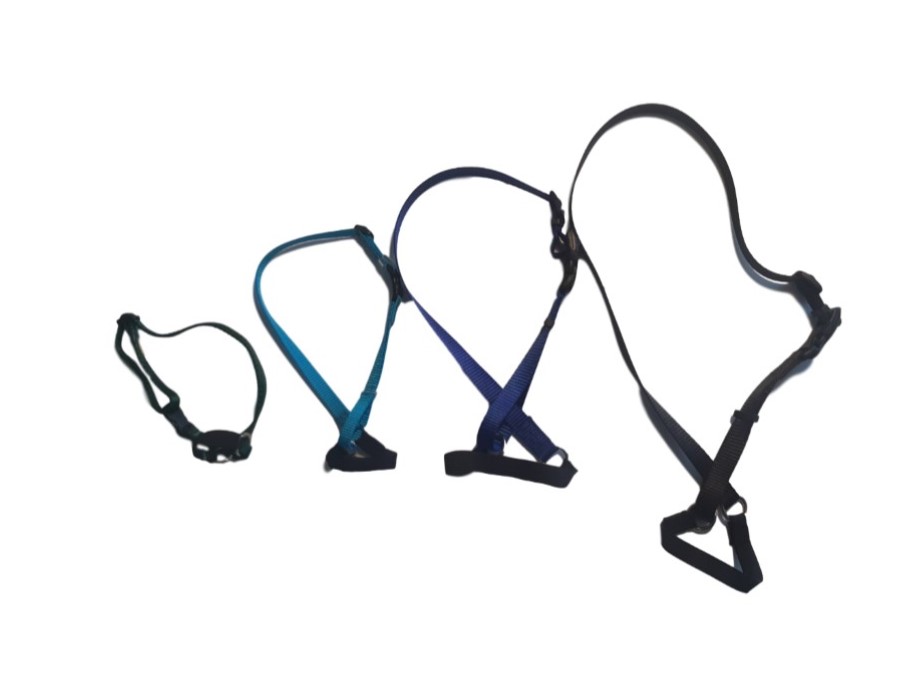 Calming Band Tellington TTouch Training Canada