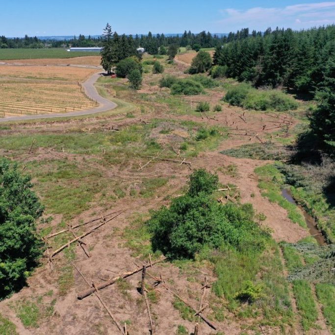 Homepage Tualatin Soil and Water Conservation District