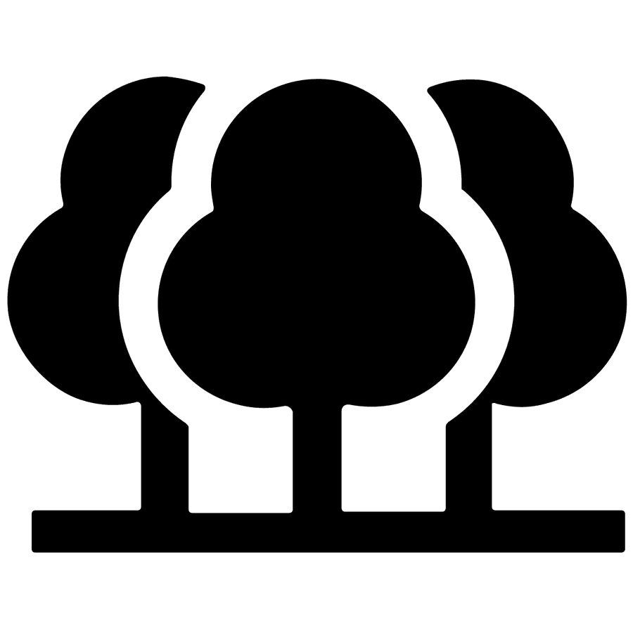 Black Plum Diospyros australis Tucker Bush