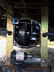 Rear Differential Pinion Bearing - Tucks' Truck