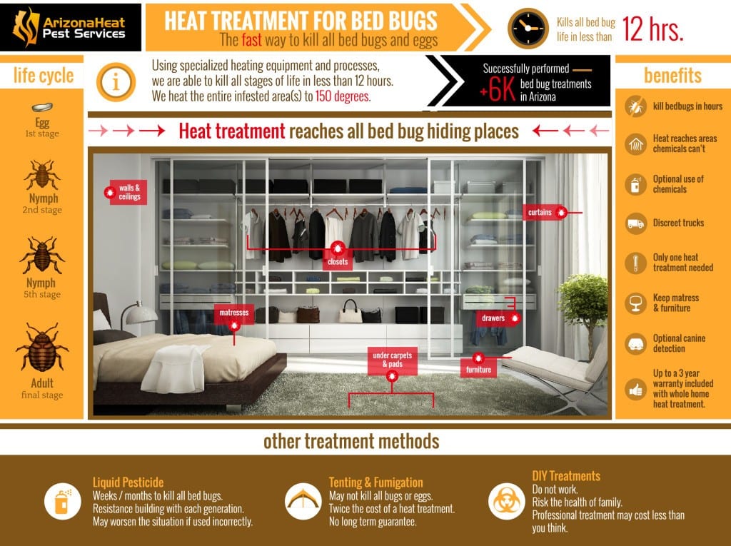 Bed Bug Heat Treatment Tucson Bed Bug Extermination