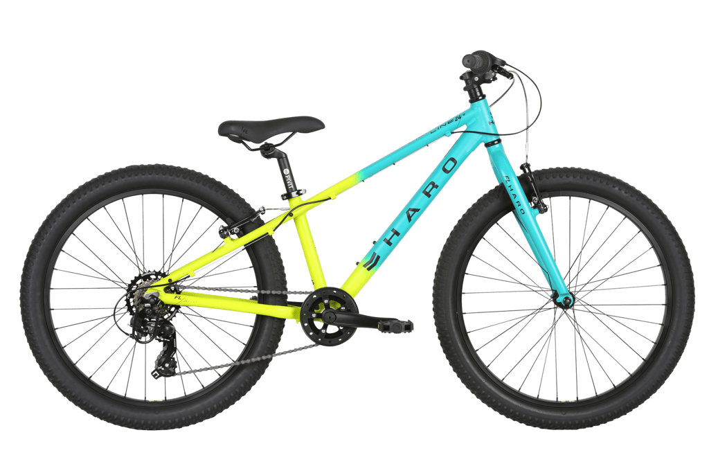Tucson Kids Toddler Youth Burley Bee Tagalong Bike Rentals Tucson