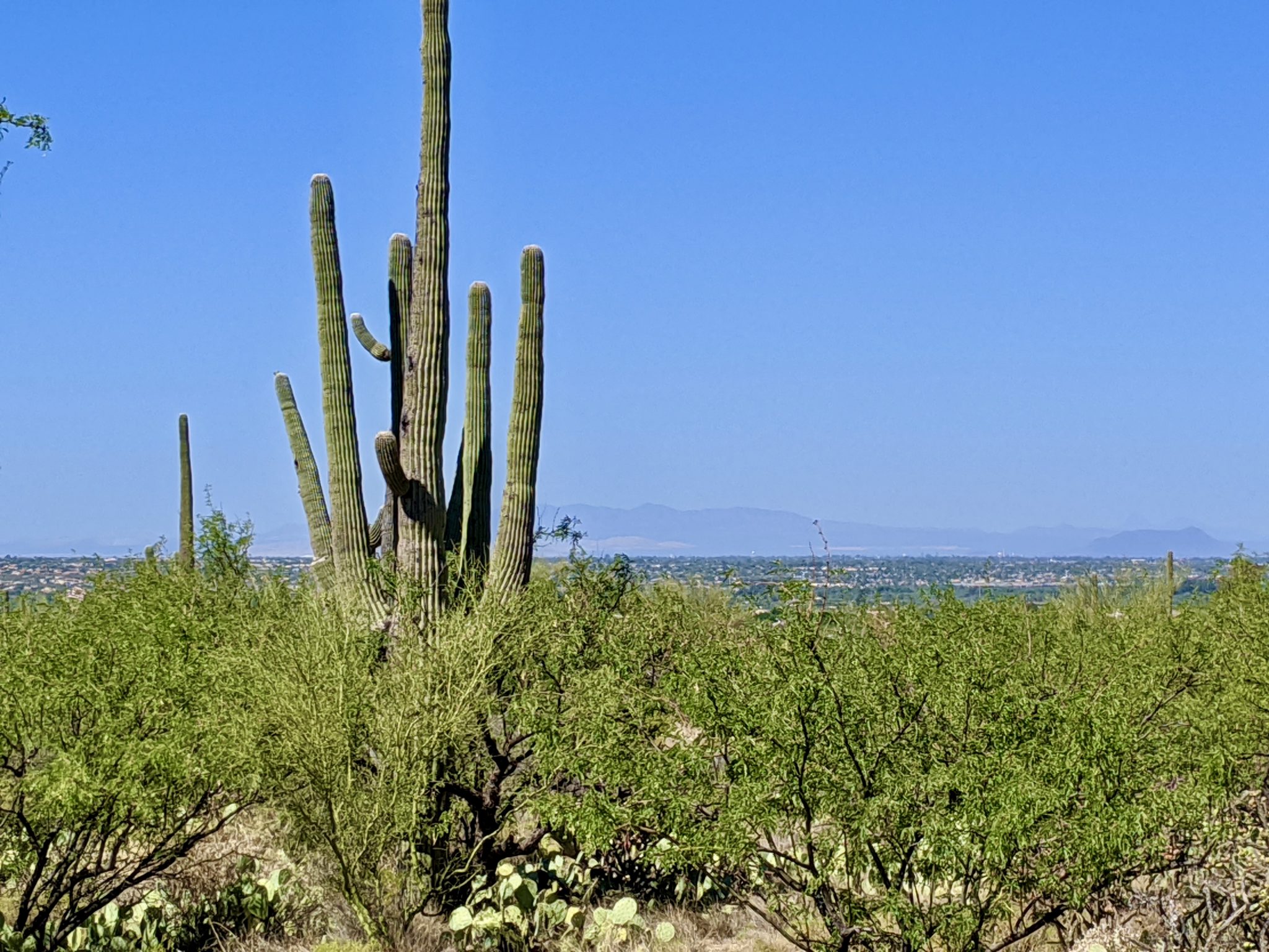 Tanque Verde Custom Home Lot 3757 N. Camino Cantil