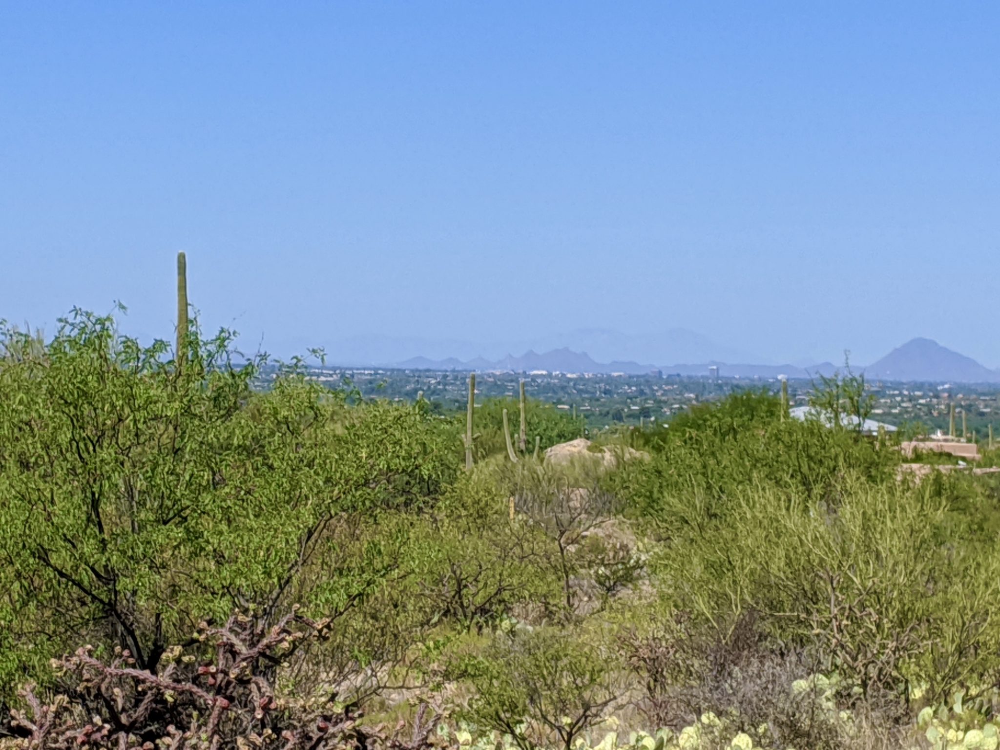 Tanque Verde Custom Home Lot 3757 N. Camino Cantil
